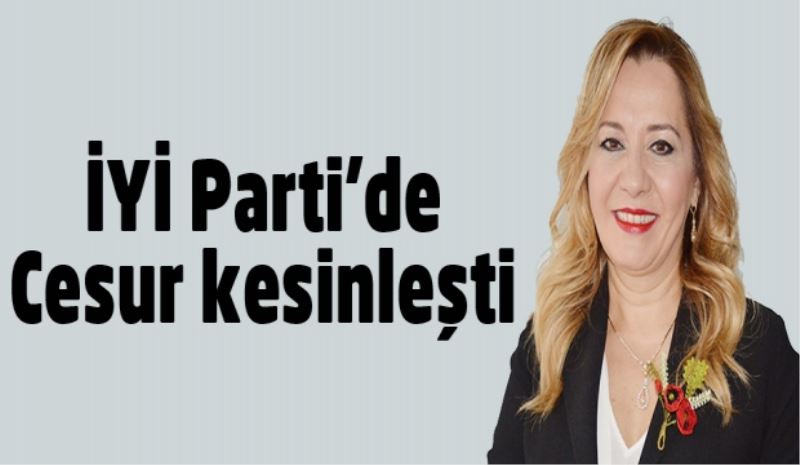 İYİ Parti