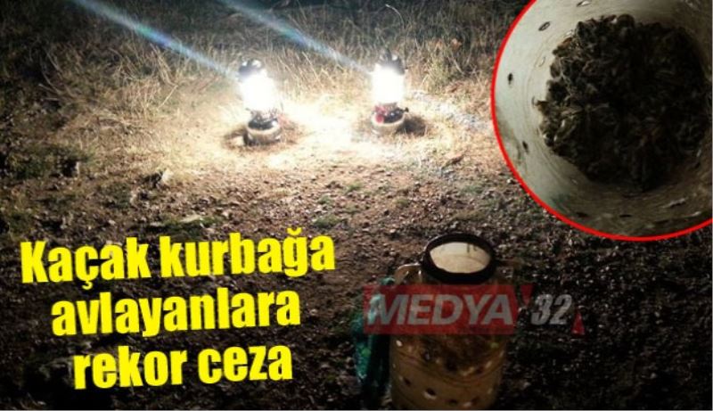 Kaçak kurbağa avlayanlara rekor ceza