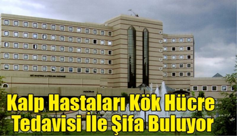 Kalp Hastaları Kök Hücre Tedavisi İle Şifa Buluyor