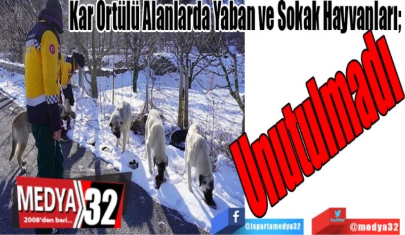 Kar Örtülü Alanlarda Yaban Ve Sokak Hayvanları; 
Unutulmadı 
