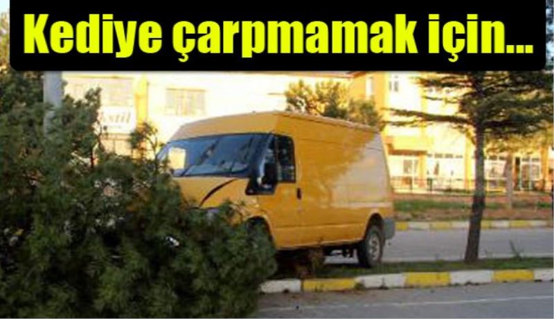 Kediye çarpmamak için...