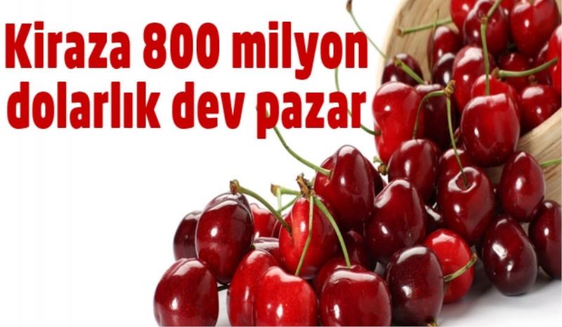 Kiraza 800 milyon dolarlık dev pazar 