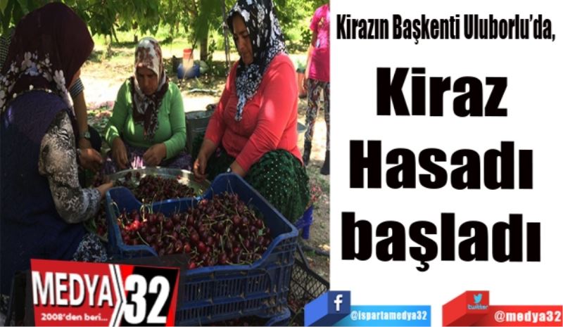 Kirazın Başkenti Uluborlu’da, 
Kiraz 
Hasadı 
başladı 
