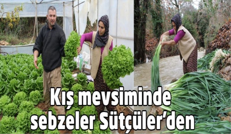 Kış mevsiminde sebzeler Sütçüler