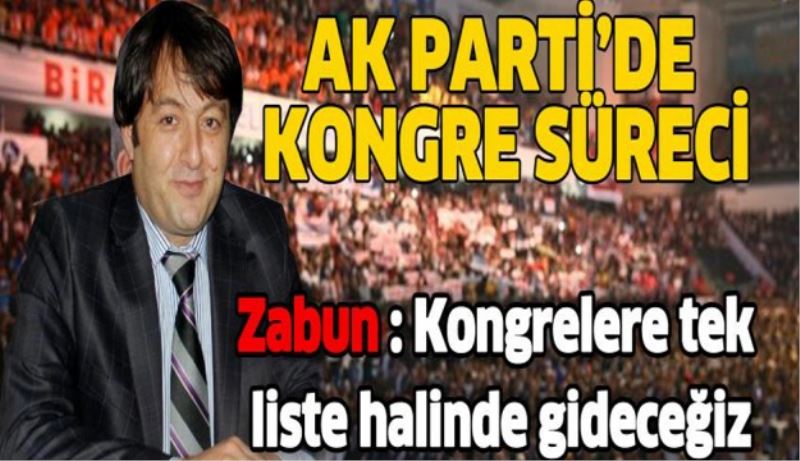 Kongrelere tek liste halinde gideceğiz