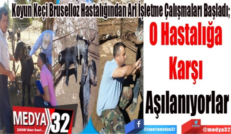 Koyun Keçi Bruselloz Hastalığından Ari İşletme Çalışmaları Başladı; 
O Hastalığa 
Karşı 
Aşılanıyorlar  
