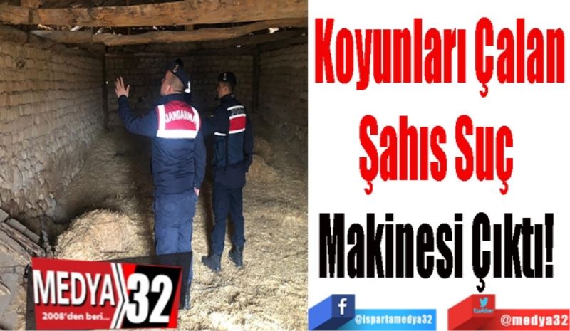 Koyunları Çalan
Şahıs Suç 
Makinesi Çıktı! 
