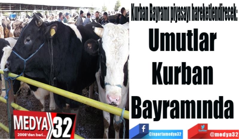 Kurban Bayramı piyasayı hareketlendirecek: 
Umutlar 
Kurban 
Bayramında 
