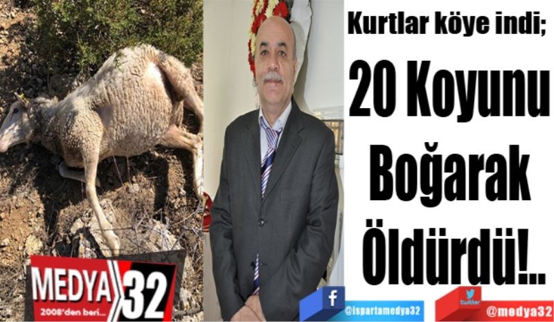 Kurtlar köye indi; 
20 Koyunu 
Boğarak 
Öldürdü!..
