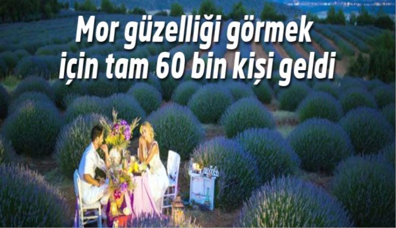 Kuyucak 60 bin kişiyi ağırladı