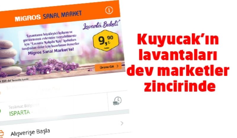 Kuyucak’ın lavantaları dev marketler zincirinde 
