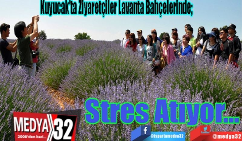 Kuyucak’ta Ziyaretçiler Lavanta Bahçesinde; 
Stres Atıyor
