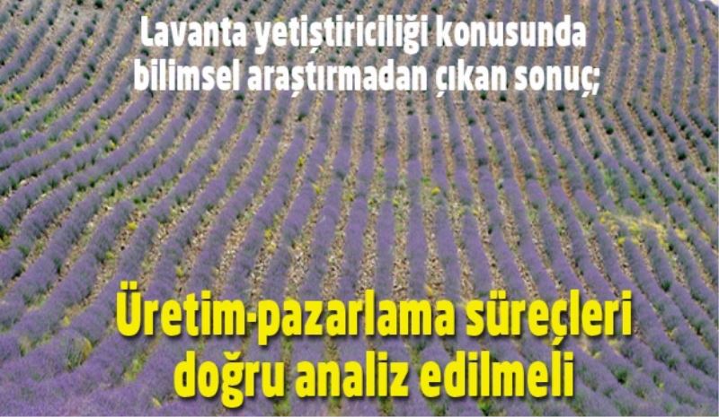 Lavanta yetiştiriciliği konusunda üretim-pazarlama süreçleri doğru analiz edilmeli 