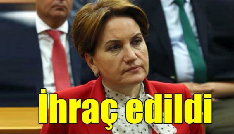 Meral Akşener, MHP