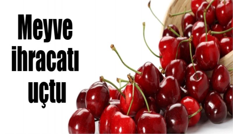 Meyve ihracatı uçtu
