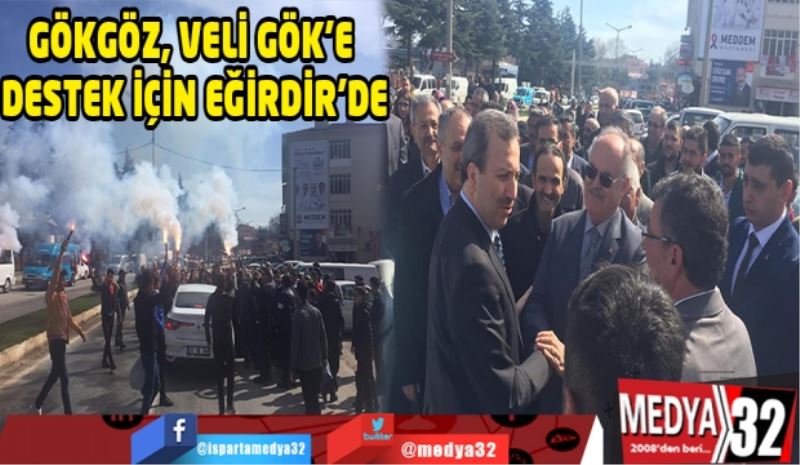 Milletvekili Gökgöz, Veli Gök