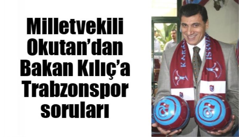 Milletvekili Okutan