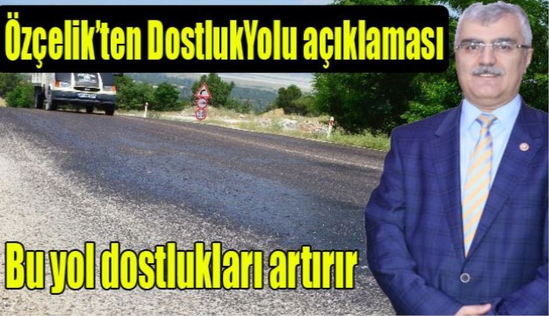 Milletvekili Özçelik