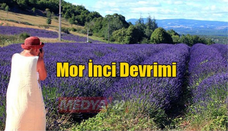 Mor İnci Devrimi