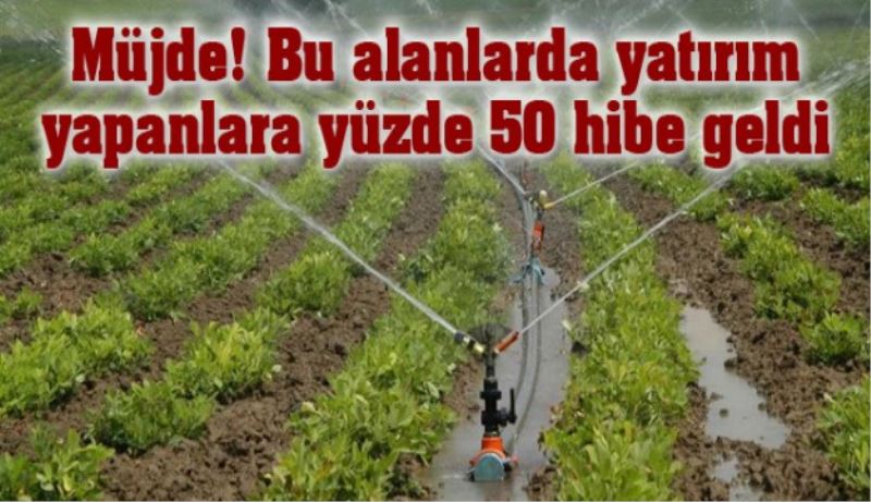 Müjde! Bu alanlarda yatırım yapanlara yüzde 50 hibe geldi