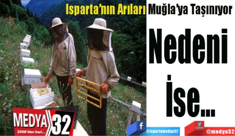 Nedeni 
İse…
