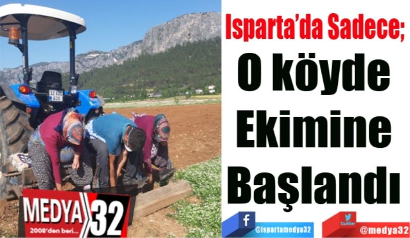 O köyde 
Ekimine 
Başlandı 
