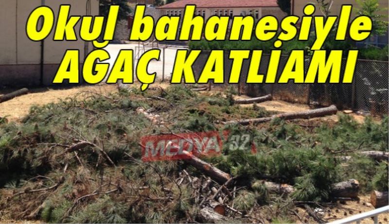 Okul bahanesiyle ağaç katliamı