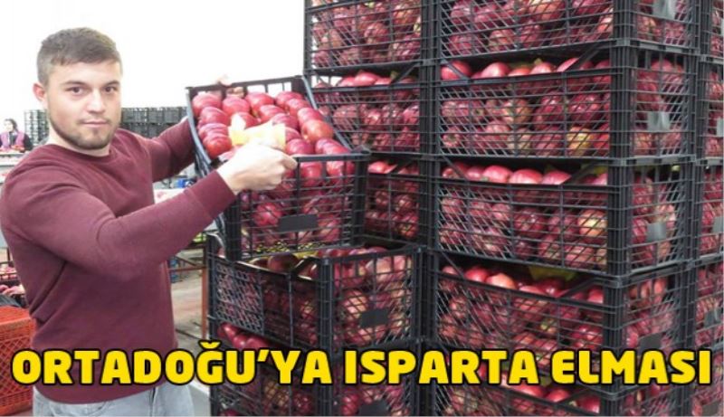 ORTADOĞUYA ISPARTA ELMASI