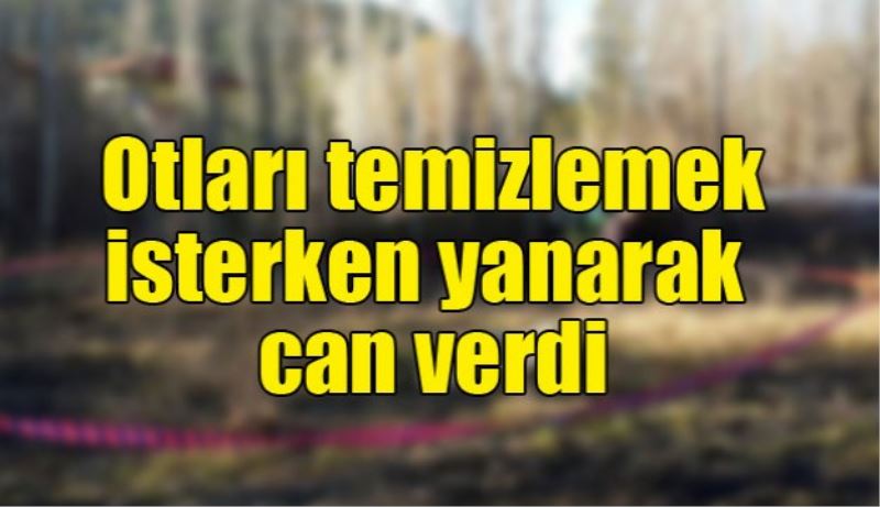 Otları temizlemek isterken yanarak can verdi 