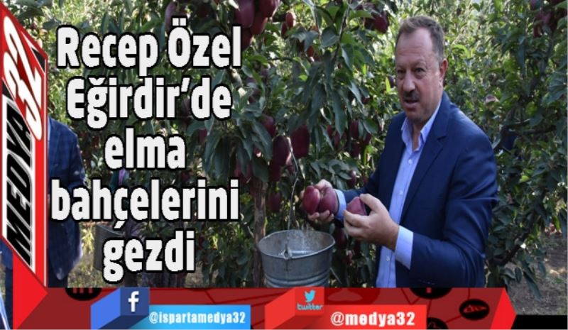 Recep Özel, Eğirdir’de elma bahçelerini gezdi
