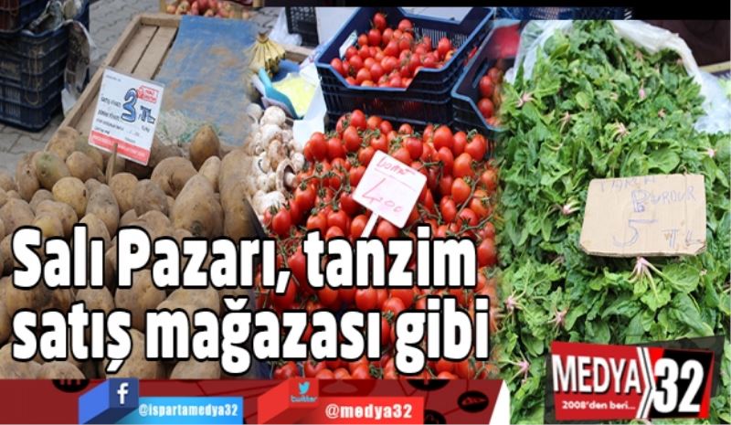 Salı Pazarı, tanzim satış mağazası gibi