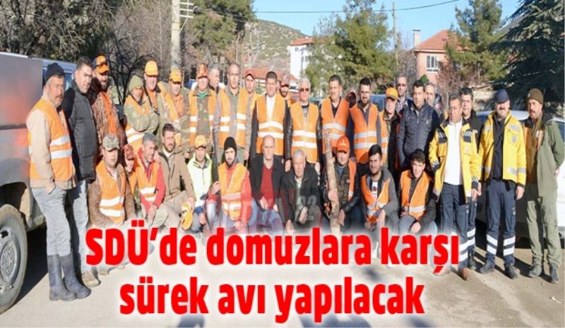 SDÜ’de domuzlara karşı sürek avı yapılacak