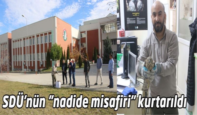 SDÜ