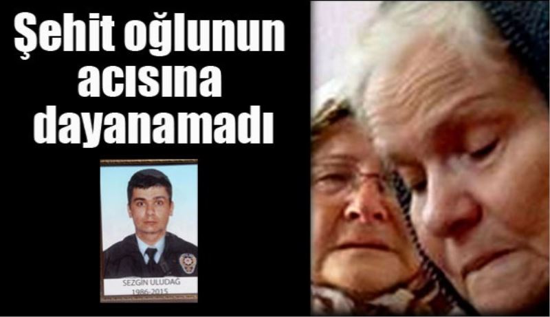 Şehit oğlunun acısına daha fazla dayanamadı