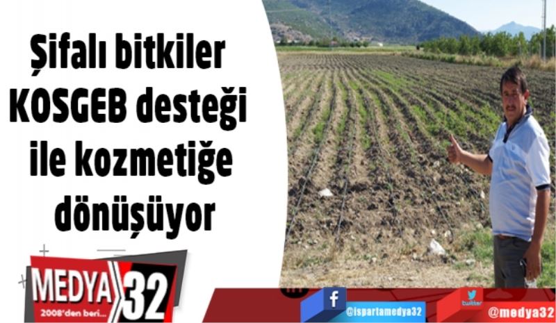 Şifalı bitkiler KOSGEB desteği ile kozmetiğe dönüşüyor
