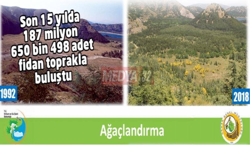 Son 15 yılda 187 milyon 650 bin 498 adet fidan toprakla buluştu