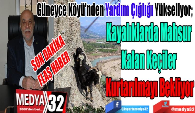 SON DAKİKA FLAŞ HABER 
Güneyce Köyü’nden Yardım Çığlığı Yükseliyor; 
Kayalıklarda Mahsur 
Kalan Keçiler 
Kurtarılmayı Bekliyor 
