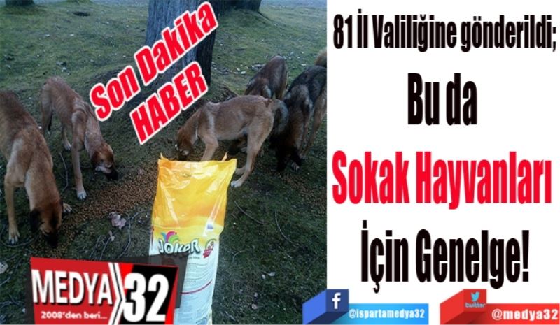 Son Dakika
HABER
81 İl Valiliğine gönderildi;
Bu da 
Sokak Hayvanları 
İçin Genelge!
