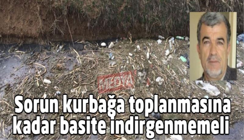 Sorun kurbağa toplanmasına kadar basite indirgenmemeli 