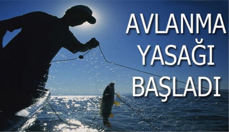 Su ürünleri için av yasağı başladı