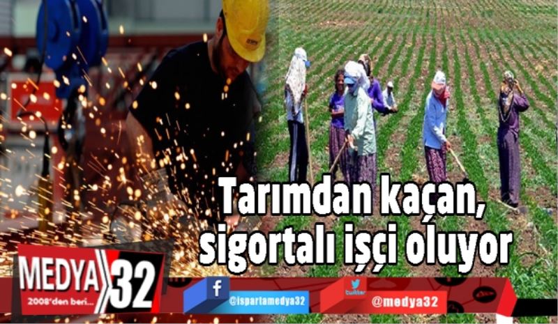 Tarımdan kaçan, sigortalı işçi oluyor