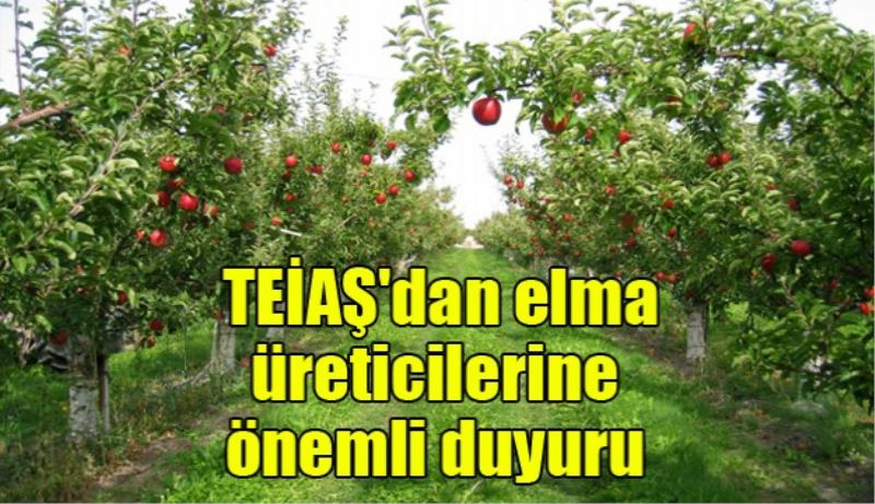 TEİAŞ