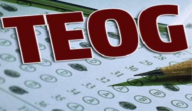 TEOG sonuçları açıklandı