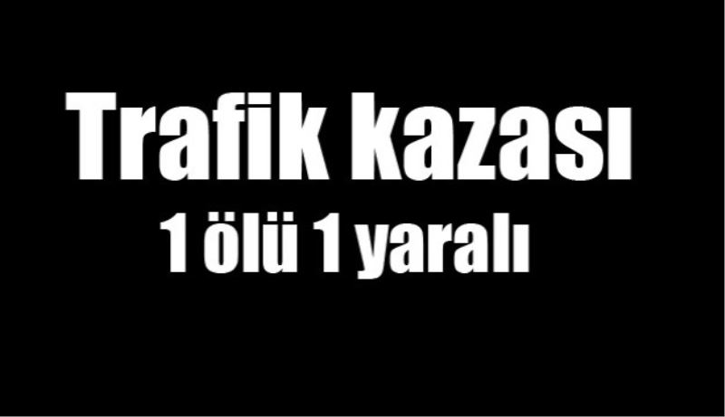Trafik kazası 1 ölü 1 yaralı