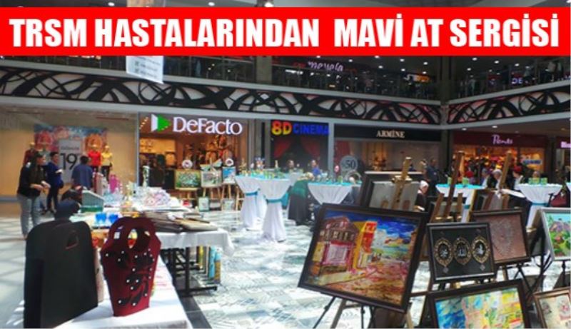 TRSM Hastalarından  Mavi At Sergisi