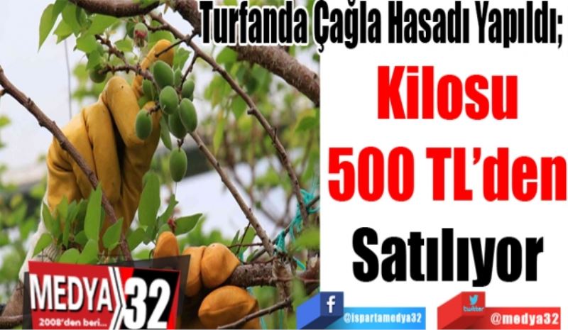 
Turfanda Çağla Hasadı Yapıldı; 
Kilosu
500 TL’den
Satılıyor
