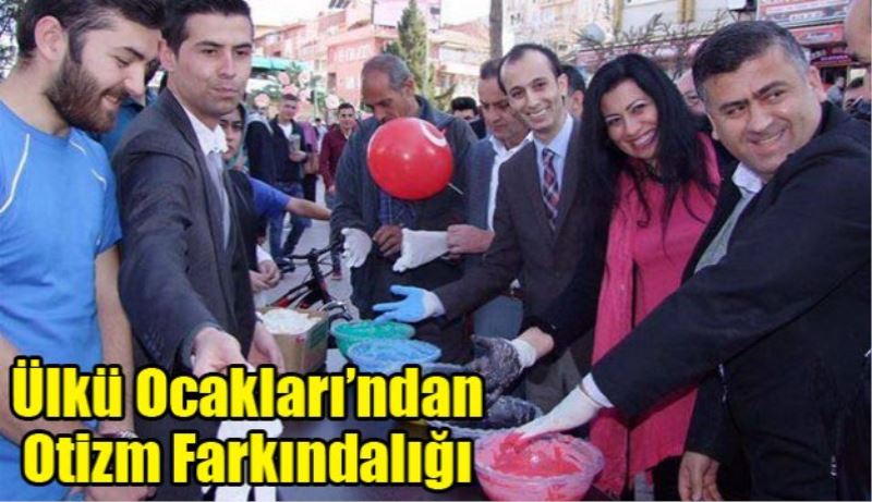 Ülkü Ocakları