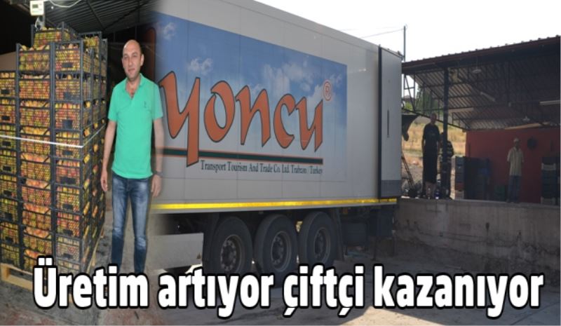 Üretim artıyor çiftçi kazanıyor