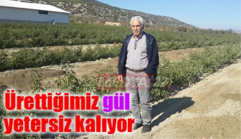 Ürettiğimiz gül yetersiz kalıyor