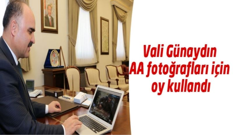 Vali Günaydın AA fotoğrafları için oy kullandı
